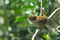 19 05 14_4495_edited-1